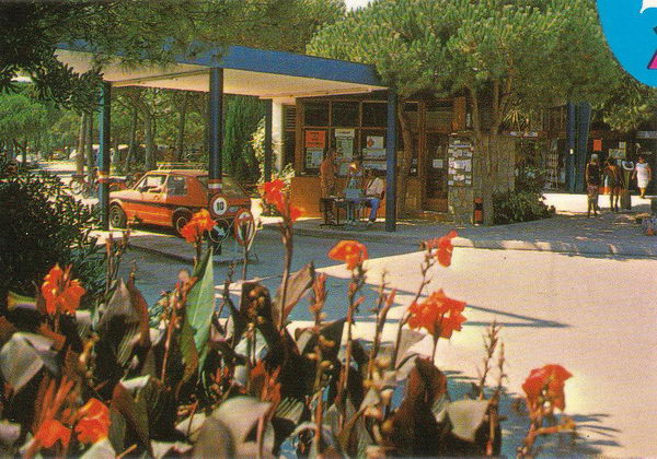 Postal del camping Albatros de Gav&agrave; Mar donde se ve la zona de la entrada
